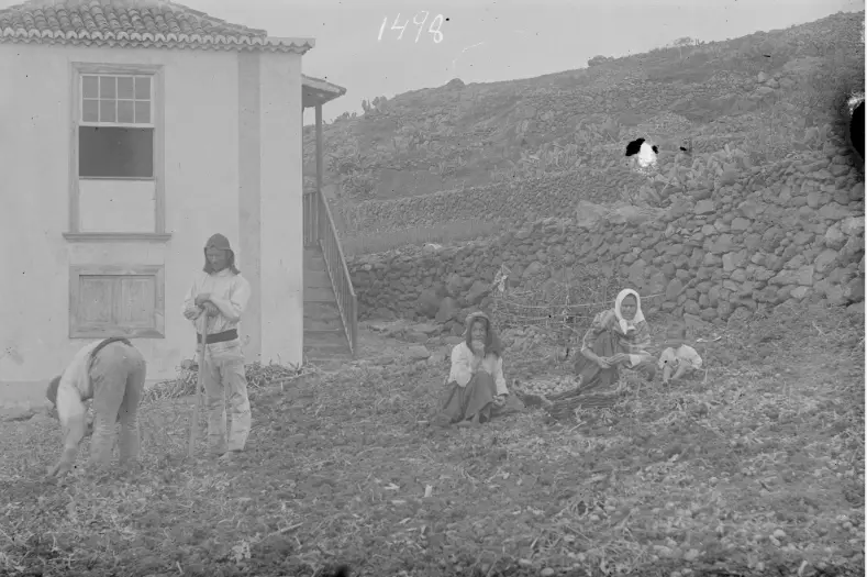 Agricultores en Los Sauces